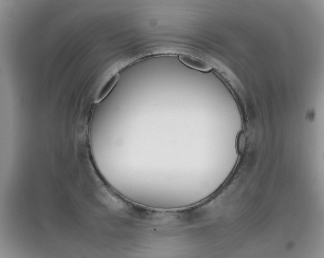 X0000097900993200803141002