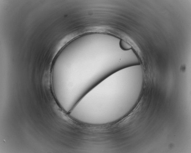 X0000097900994200803141002