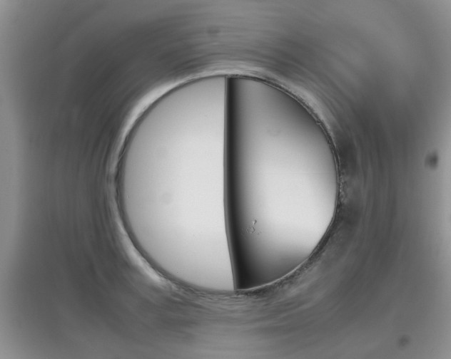 X0000097900995200803141002
