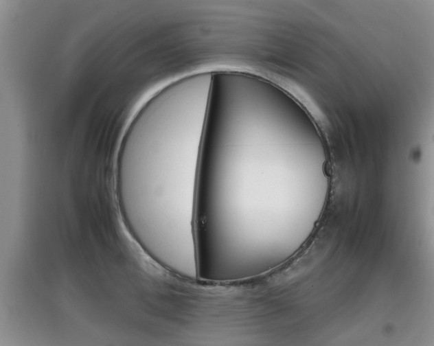 X0000097900996200803141002