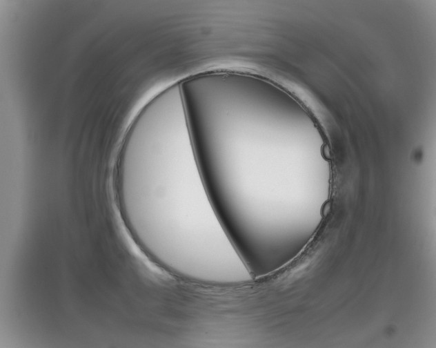 X0000097900999200803141002
