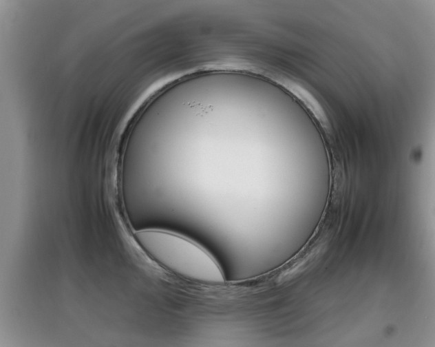 X0000097901000200803141002