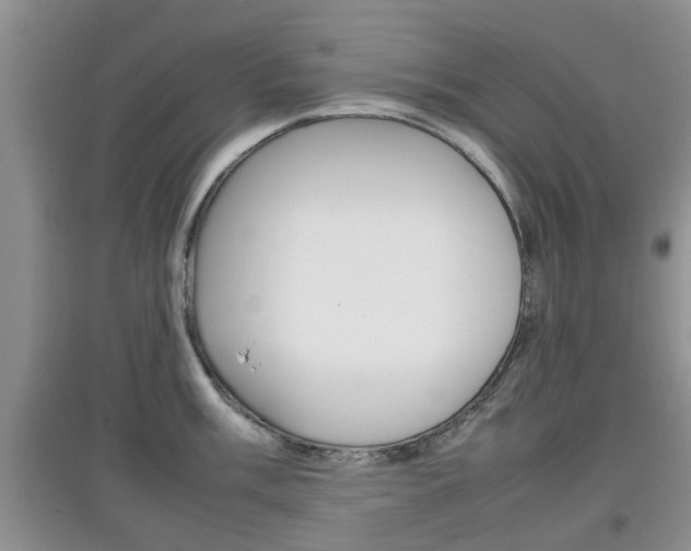 X0000097901003200803141002