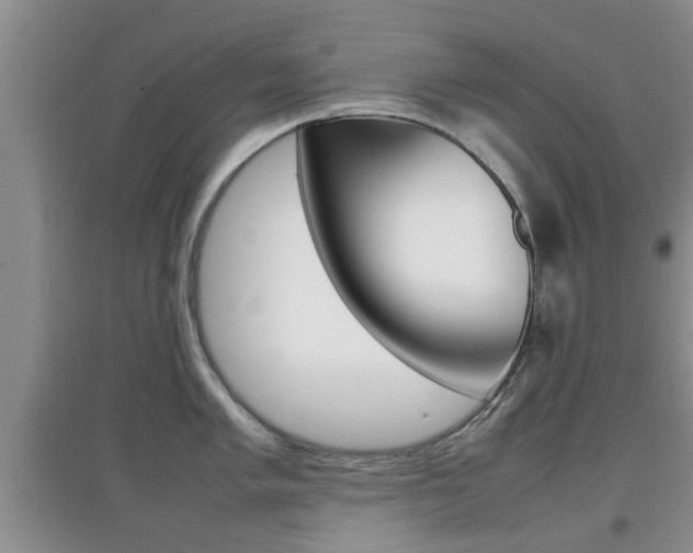 X0000097901005200803141002