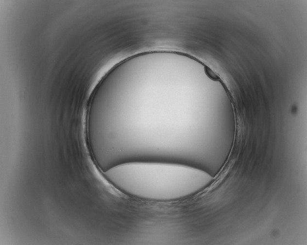 X0000097901006200803141002