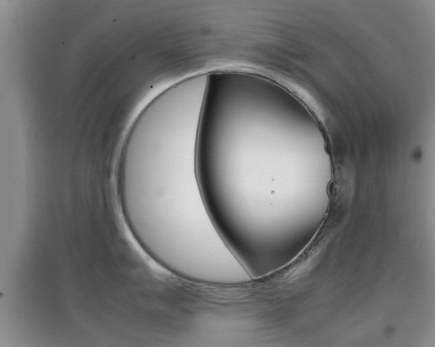 X0000097901007200803141002