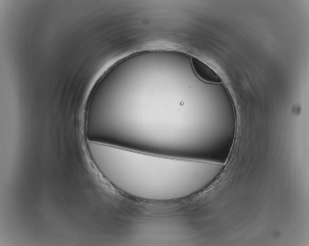 X0000097901008200803141002