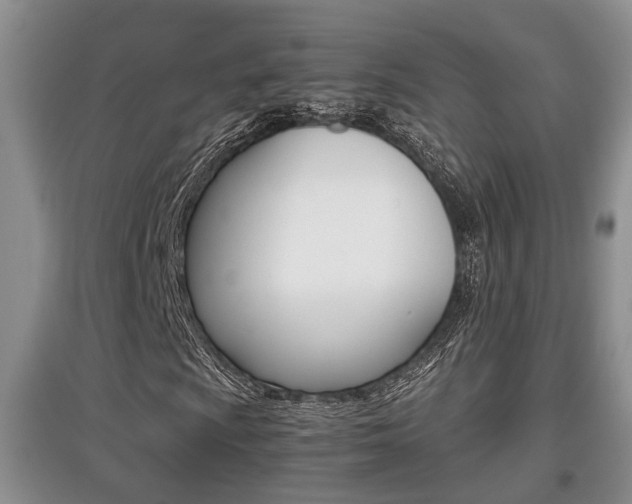 X0000097901009200803141001