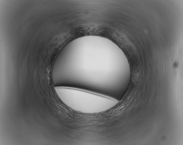 X0000097901010200803141001