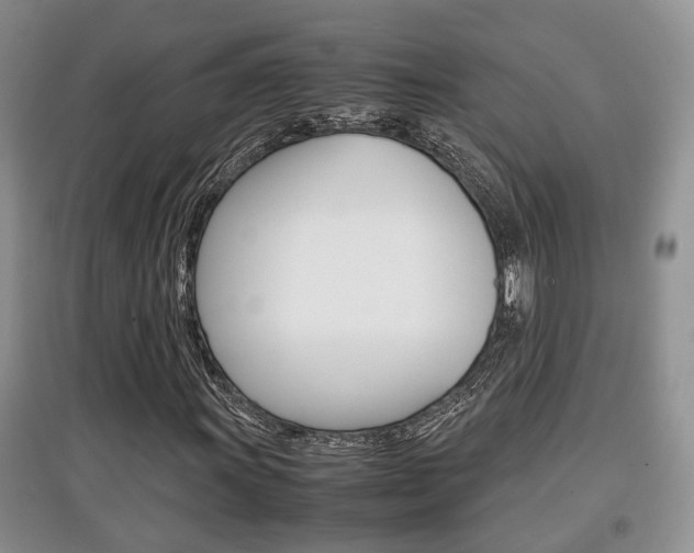 X0000097901011200803141001