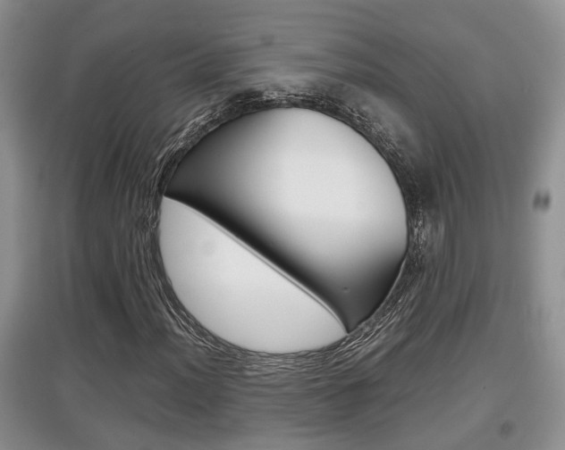 X0000097901012200803141001