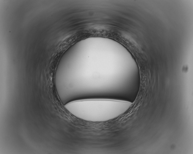 X0000097901013200803141001