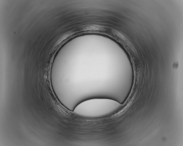 X0000097901017200803141001