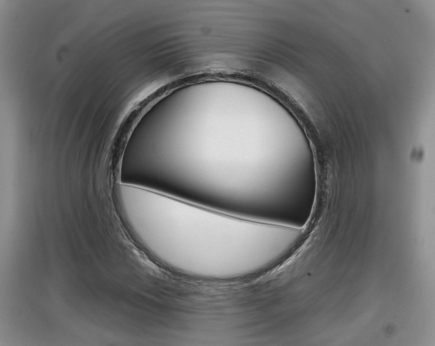 X0000097901018200803141001