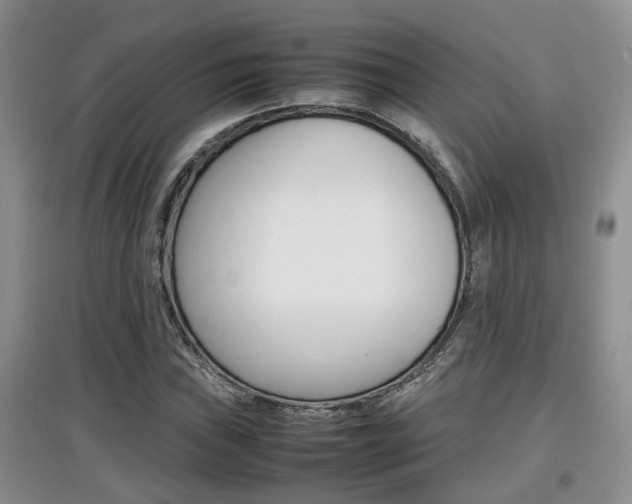X0000097901019200803141001