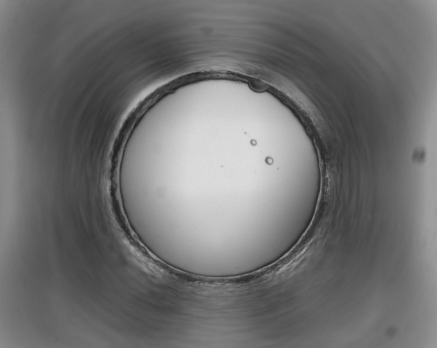 X0000097901020200803141001