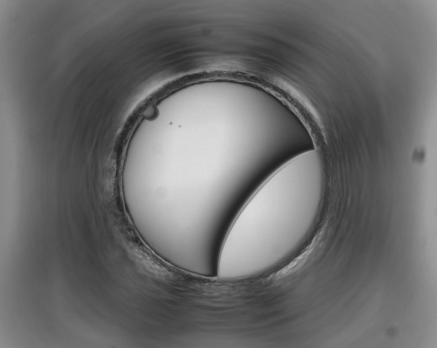X0000097901021200803141002