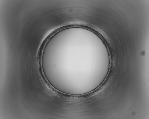 X0000097901022200803141002