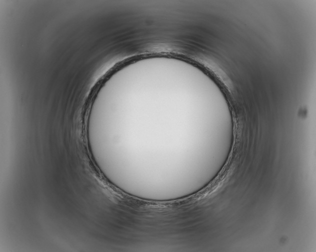 X0000097901023200803141002
