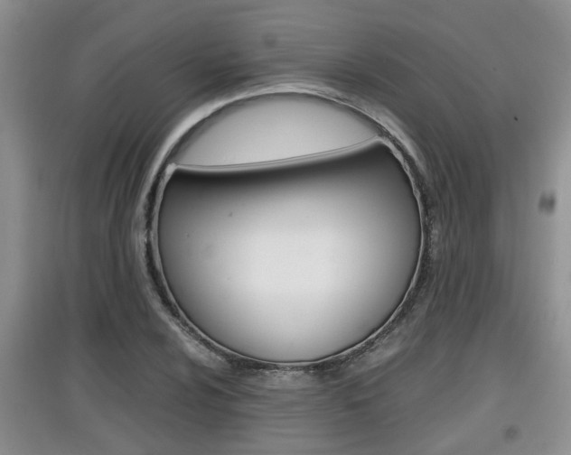 X0000097901024200803141002