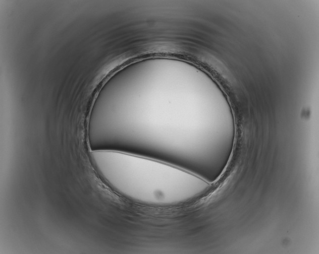 X0000097901025200803141002