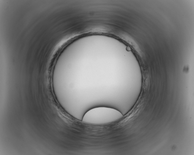 X0000097901027200803141002