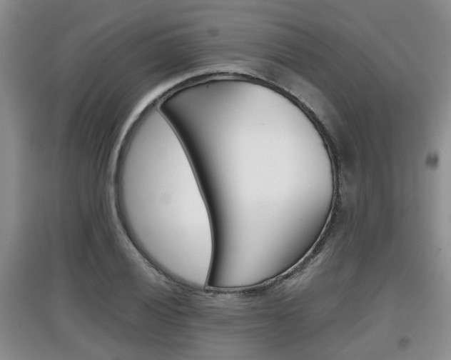 X0000097901028200803141002