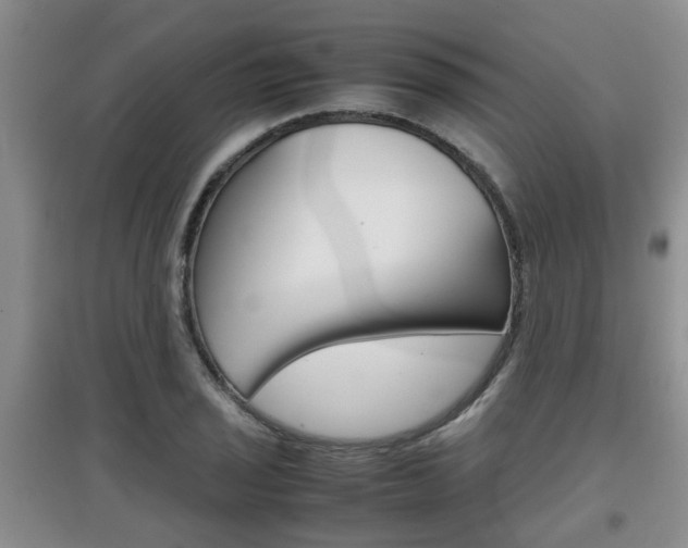 X0000097901029200803141002