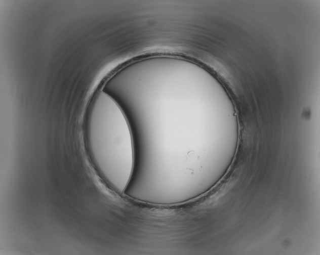 X0000097901030200803141002