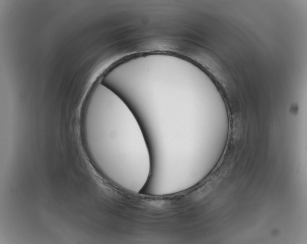 X0000097901031200803141002
