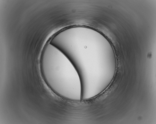 X0000097901032200803141002