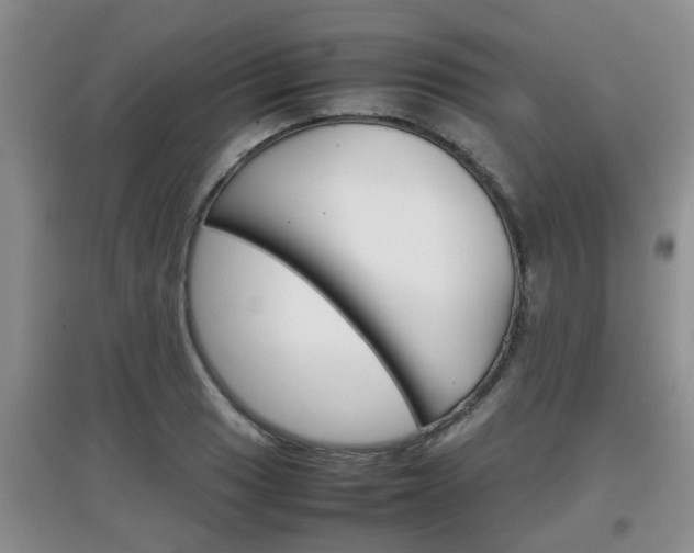 X0000097901033200803141002