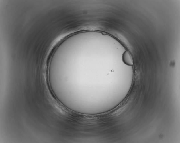 X0000097901035200803141002