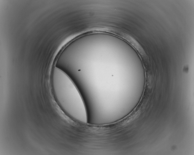 X0000097901036200803141002