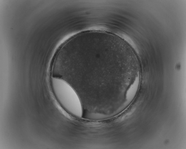 X0000097901037200803141002