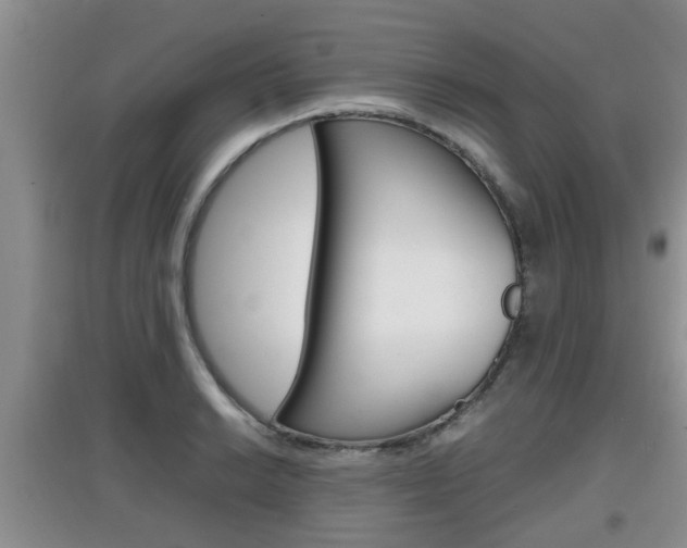 X0000097901038200803141002