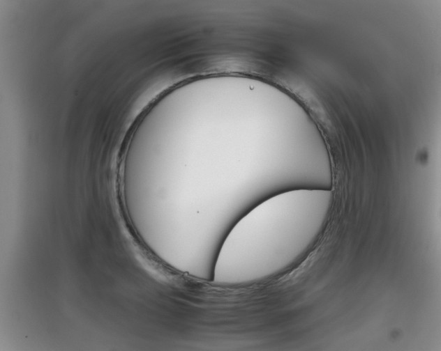 X0000097901039200803141002