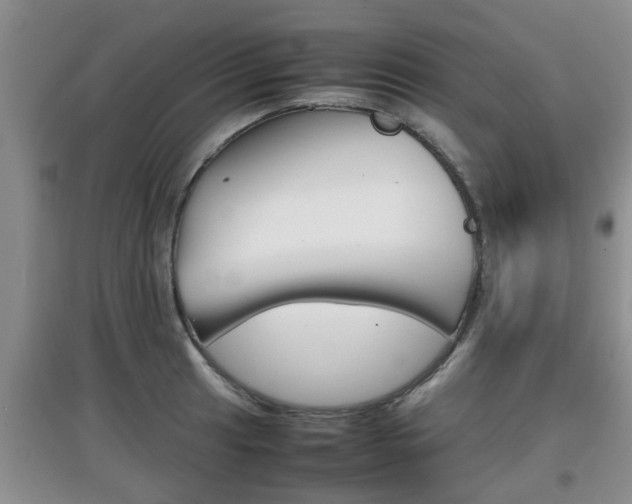 X0000097901041200803141002