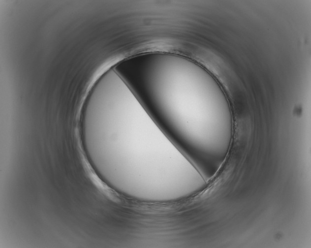 X0000097901042200803141002