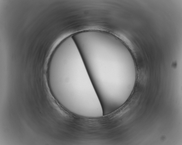 X0000097901043200803141002