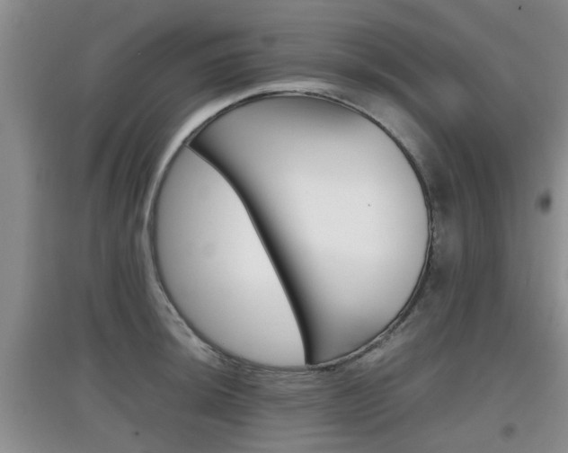 X0000097901044200803141002