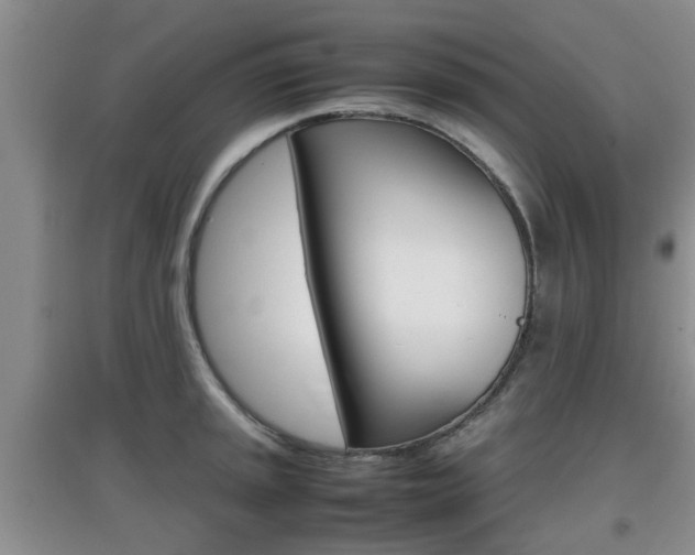 X0000097901045200803141002