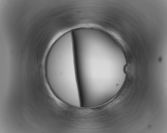 X0000097901046200803141002