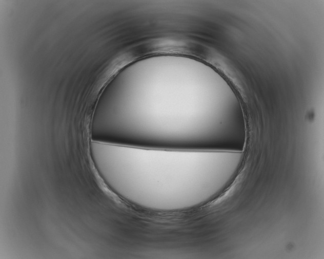 X0000097901049200803141002
