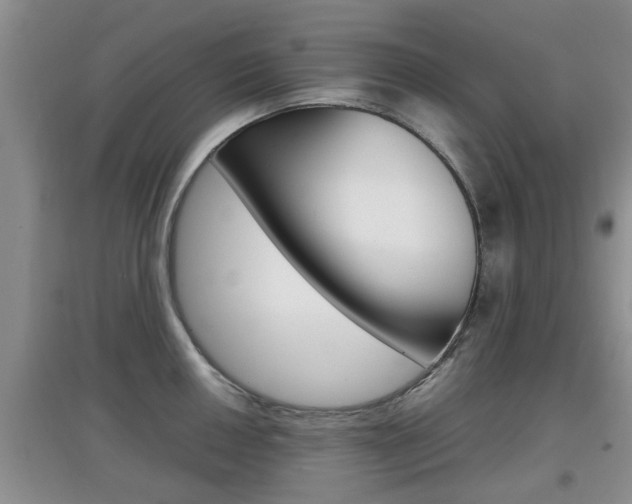 X0000097901050200803141002