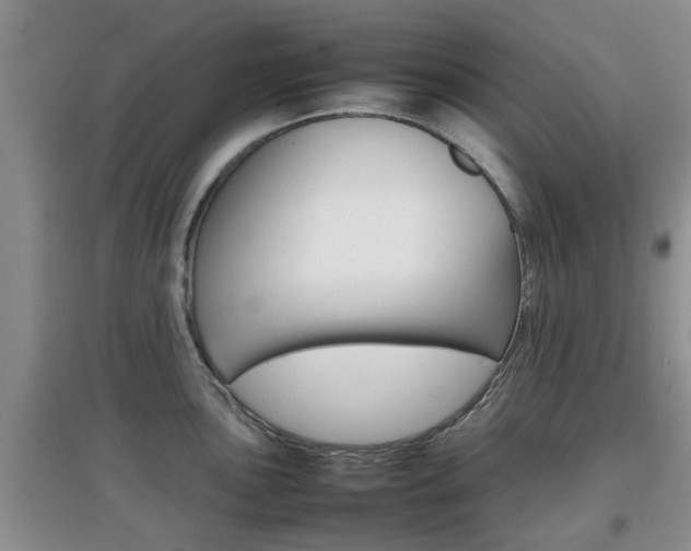 X0000097901051200803141002