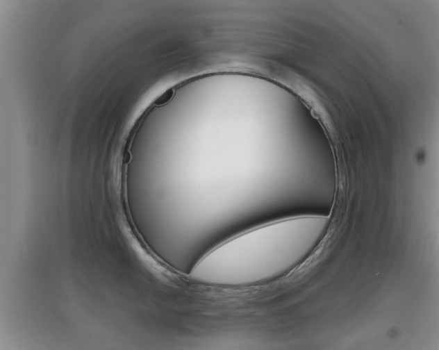 X0000097901054200803141002