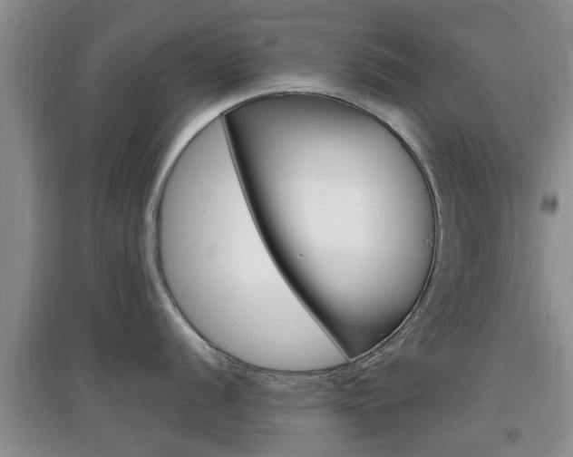 X0000097901056200803141002