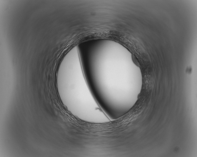 X0000097901057200803141001