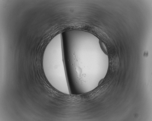 X0000097901058200803141001
